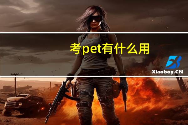 考pet有什么用