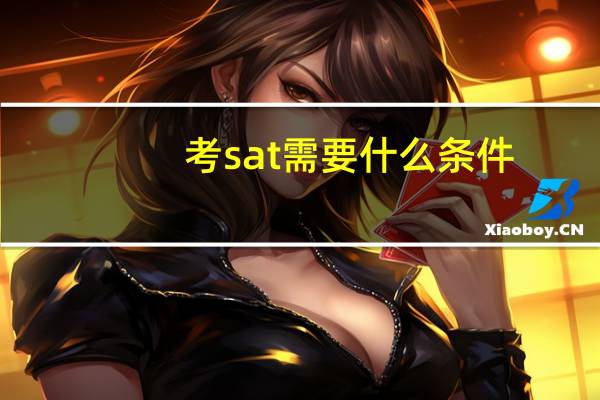 考sat需要什么条件