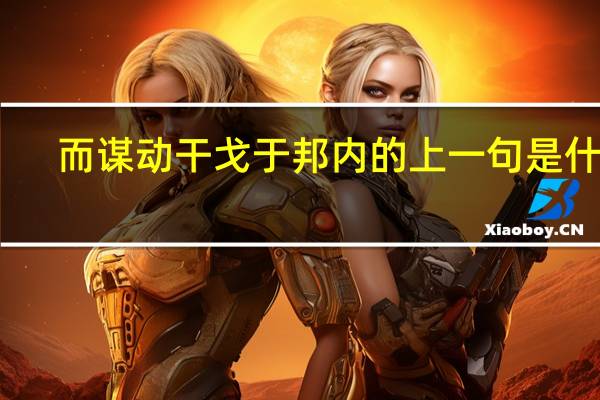 而谋动干戈于邦内的上一句是什么