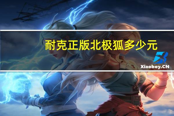 耐克正版北极狐多少元