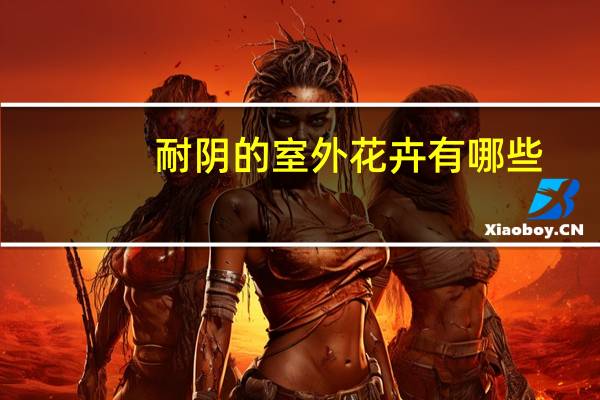 耐阴的室外花卉有哪些