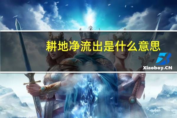 耕地净流出是什么意思（母带流出是什么意思）