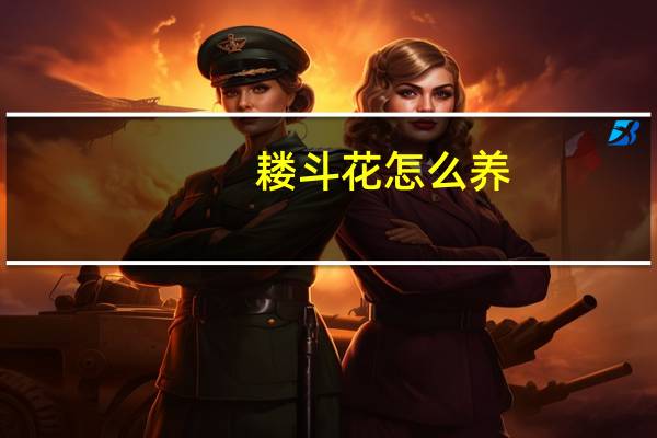 耧斗花怎么养