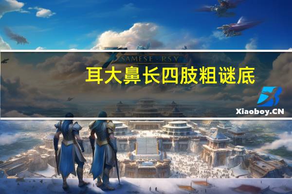 耳大鼻长四肢粗谜底