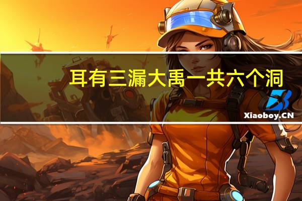 耳有三漏大禹一共六个洞