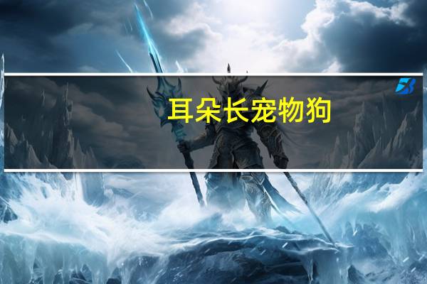 耳朵长宠物狗