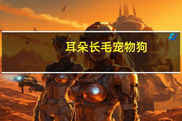 耳朵长毛宠物狗