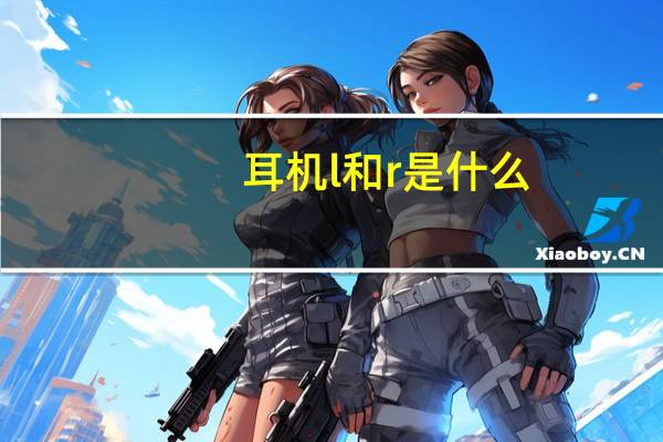耳机l和r是什么（耳机l和r是什么意思）