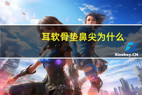 耳软骨垫鼻尖为什么(自体软骨垫鼻尖是什么)