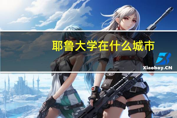 耶鲁大学在什么城市