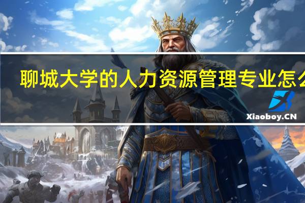 聊城大学的人力资源管理专业怎么样