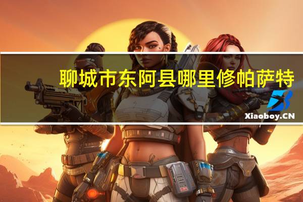 聊城市东阿县哪里修帕萨特