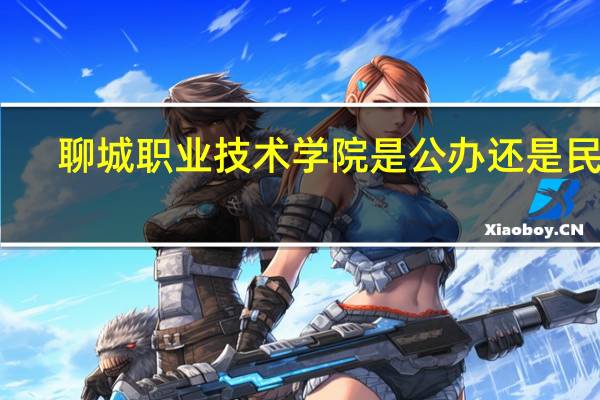 聊城职业技术学院是公办还是民办