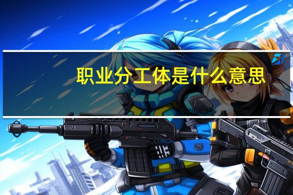 职业分工体是什么意思