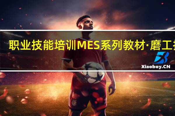 职业技能培训MES系列教材·磨工技能(关于职业技能培训MES系列教材·磨工技能简述)