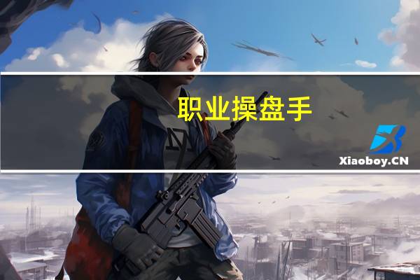 职业操盘手(关于职业操盘手简述)