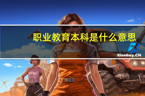 职业教育本科是什么意思