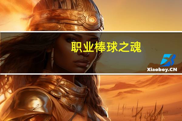 职业棒球之魂(关于职业棒球之魂简述)
