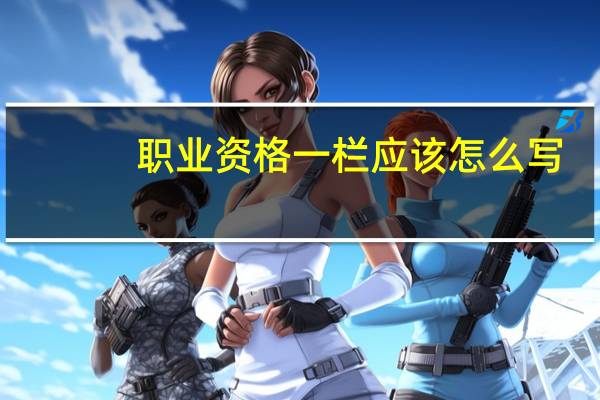 职业资格一栏应该怎么写