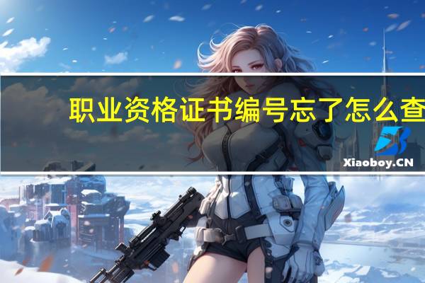 职业资格证书编号忘了怎么查