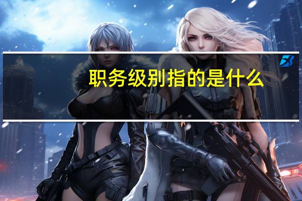 职务级别指的是什么