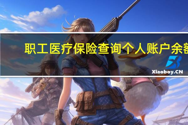 职工医疗保险查询个人账户余额（职工医疗保险查询个人账户）