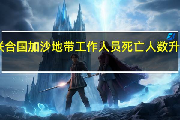 联合国加沙地带工作人员死亡人数升至14人