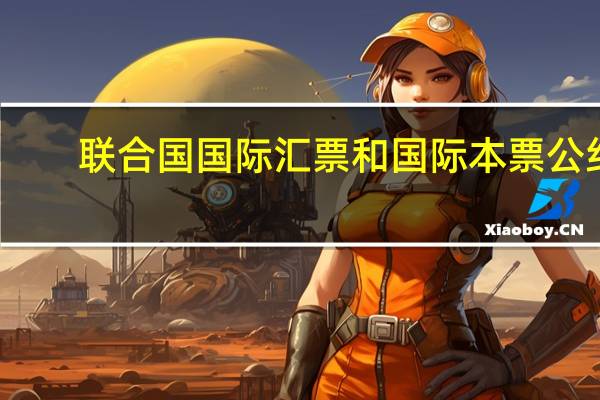 联合国国际汇票和国际本票公约(关于联合国国际汇票和国际本票公约简述)