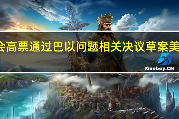 联合国大会高票通过巴以问题相关决议草案 美以等国投反对票