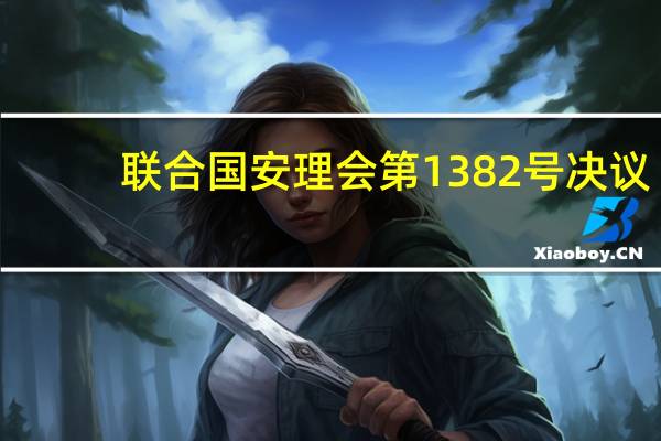 联合国安理会第1382号决议(关于联合国安理会第1382号决议简述)