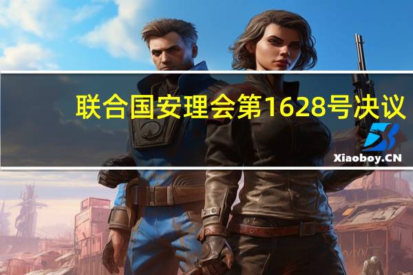 联合国安理会第1628号决议(关于联合国安理会第1628号决议简述)