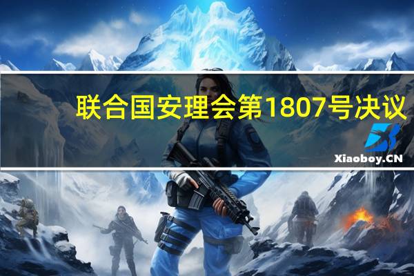 联合国安理会第1807号决议(关于联合国安理会第1807号决议简述)