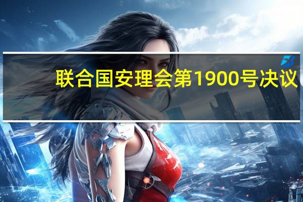 联合国安理会第1900号决议(关于联合国安理会第1900号决议简述)