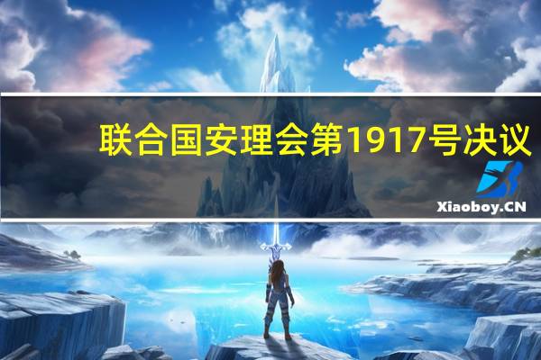 联合国安理会第1917号决议(关于联合国安理会第1917号决议简述)