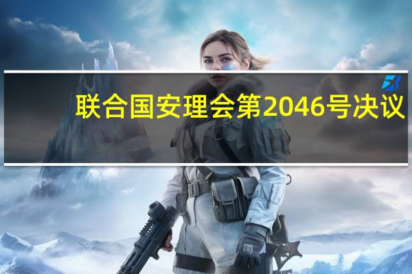 联合国安理会第2046号决议(关于联合国安理会第2046号决议简述)