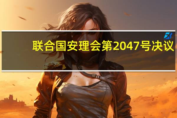 联合国安理会第2047号决议(关于联合国安理会第2047号决议简述)