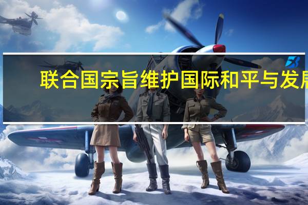 联合国宗旨维护国际和平与发展（联合国宗旨）