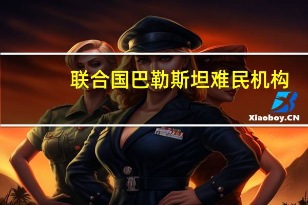 联合国巴勒斯坦难民机构：以色列呼吁在24小时内转移加沙北部100多万平民是“可怕的”
