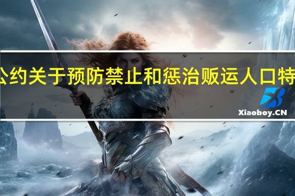 联合国打击跨国有组织犯罪公约关于预防禁止和惩治贩运人口特别是妇女和儿童行为的补充议定书(关于联合国打击跨国有组织犯罪公约关于预防禁止和惩治贩运人口特别是妇女和儿童行为的补充议定书简述)
