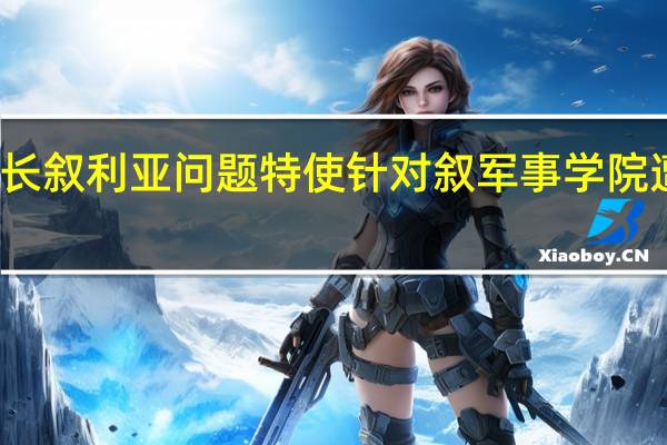 联合国秘书长叙利亚问题特使针对叙军事学院遭袭一事予以谴责