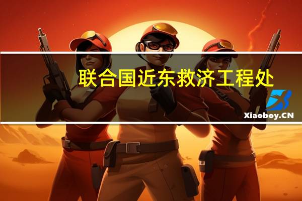 联合国近东救济工程处：加沙地带没有安全的地方