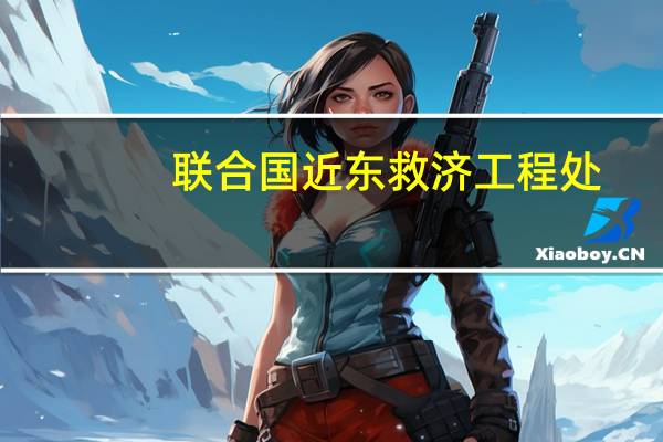 联合国近东救济工程处：已有102名工作人员在本轮巴以冲突中遇难