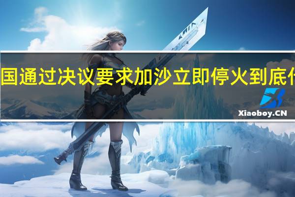 联合国通过决议要求加沙立即停火 到底什么情况呢