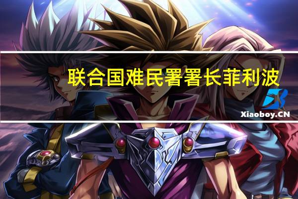 联合国难民署署长菲利波：联合国难民署正处于“历史上最困难的时刻之一”