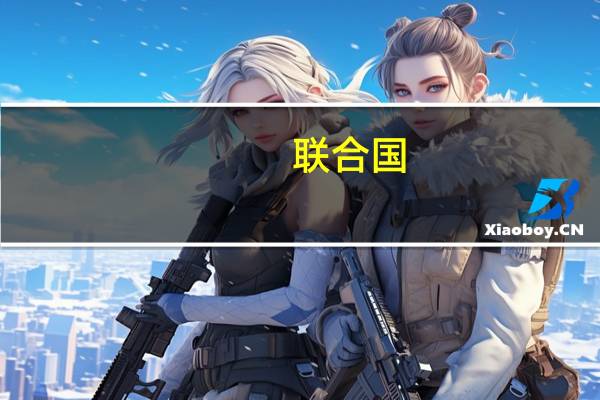 联合国：需要多条渠道向加沙提供援助以色列控制的克雷姆沙隆是唯一一个能够快速通过大量卡车的渠道