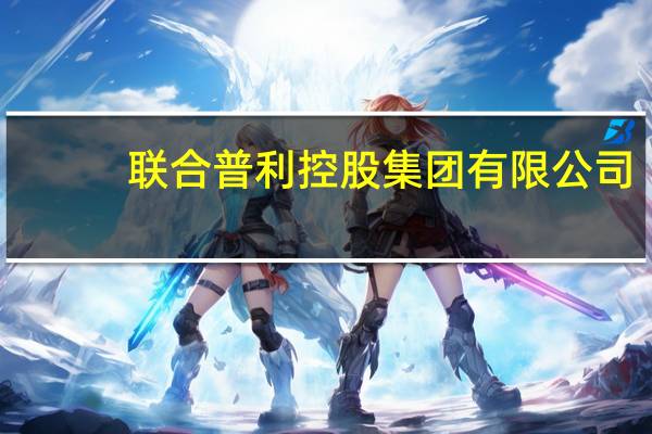 联合普利控股集团有限公司(关于联合普利控股集团有限公司简述)