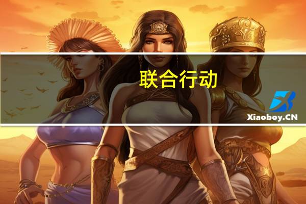 联合行动(关于联合行动简述)