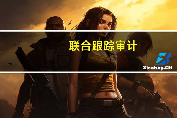 联合跟踪审计(关于联合跟踪审计简述)