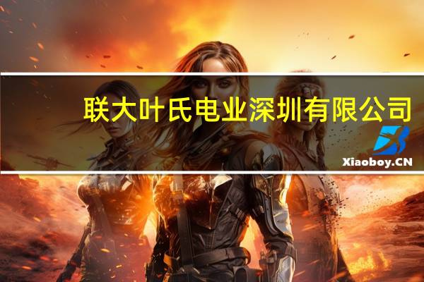 联大叶氏电业 深圳有限公司(关于联大叶氏电业 深圳有限公司简述)