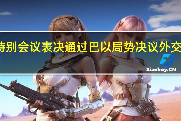 联大紧急特别会议表决通过巴以局势决议外交部介绍中方立场
